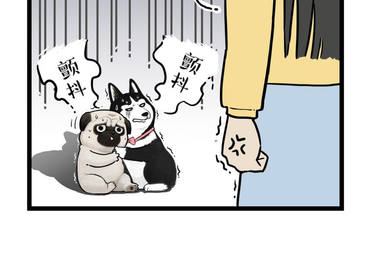 《吾皇巴扎黑》漫画最新章节第279话 萌兽→猛兽免费下拉式在线观看章节第【38】张图片