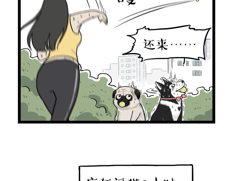 《吾皇巴扎黑》漫画最新章节第279话 萌兽→猛兽免费下拉式在线观看章节第【41】张图片