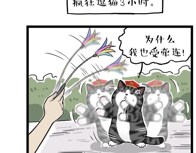 《吾皇巴扎黑》漫画最新章节第279话 萌兽→猛兽免费下拉式在线观看章节第【42】张图片