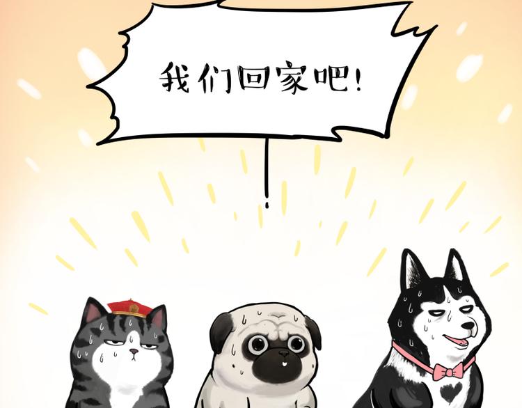 《吾皇巴扎黑》漫画最新章节第279话 萌兽→猛兽免费下拉式在线观看章节第【48】张图片