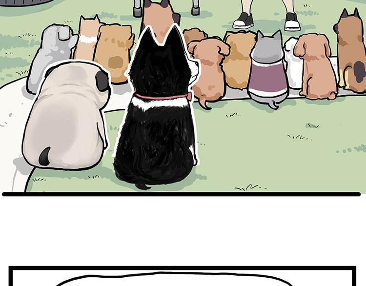 《吾皇巴扎黑》漫画最新章节第280话 狗上学免费下拉式在线观看章节第【34】张图片
