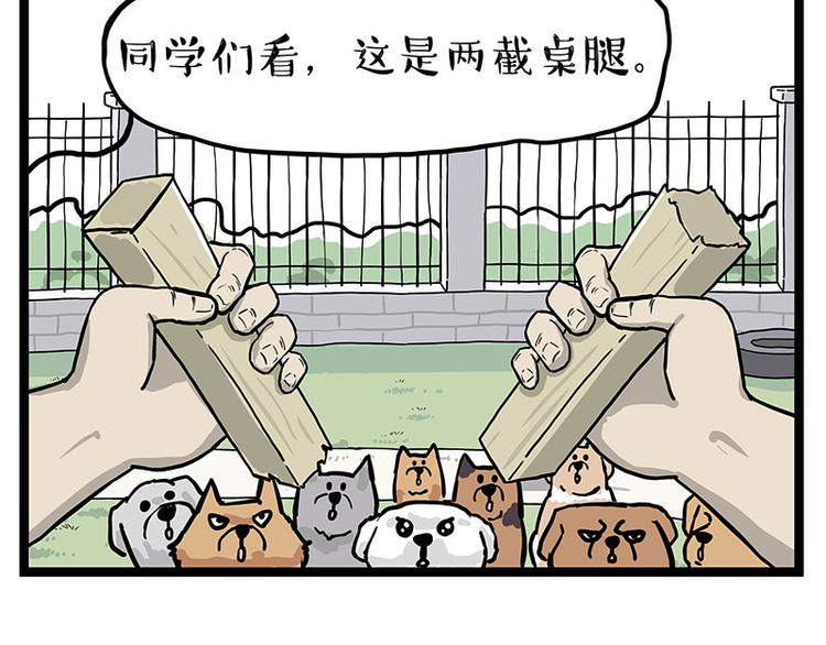 《吾皇巴扎黑》漫画最新章节第280话 狗上学免费下拉式在线观看章节第【35】张图片