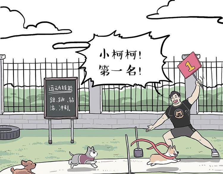 【吾皇巴扎黑】漫画-（第280话 狗上学）章节漫画下拉式图片-42.jpg