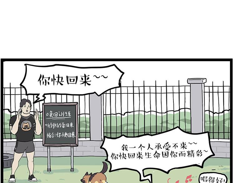 《吾皇巴扎黑》漫画最新章节第280话 狗上学免费下拉式在线观看章节第【45】张图片