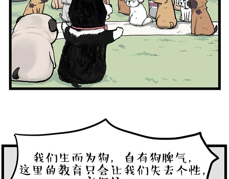 【吾皇巴扎黑】漫画-（第280话 狗上学）章节漫画下拉式图片-55.jpg