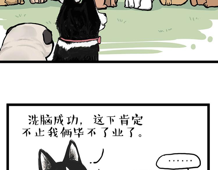 《吾皇巴扎黑》漫画最新章节第280话 狗上学免费下拉式在线观看章节第【60】张图片