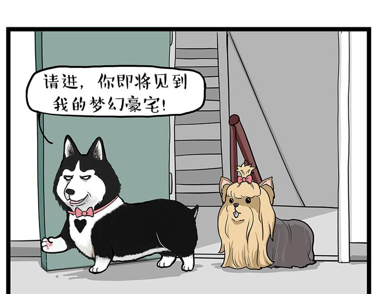 《吾皇巴扎黑》漫画最新章节第283话 三角恋免费下拉式在线观看章节第【19】张图片