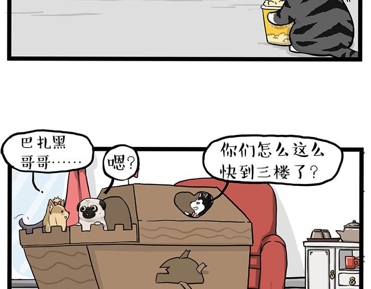 《吾皇巴扎黑》漫画最新章节第283话 三角恋免费下拉式在线观看章节第【48】张图片