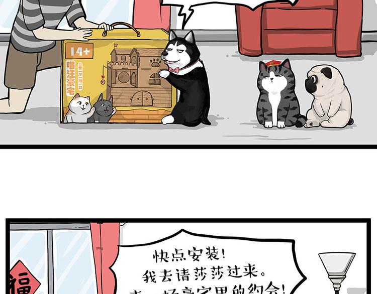 《吾皇巴扎黑》漫画最新章节第283话 三角恋免费下拉式在线观看章节第【5】张图片