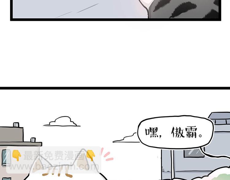 【吾皇巴扎黑】漫画-（第284话 美喵竟是我自己）章节漫画下拉式图片-12.jpg