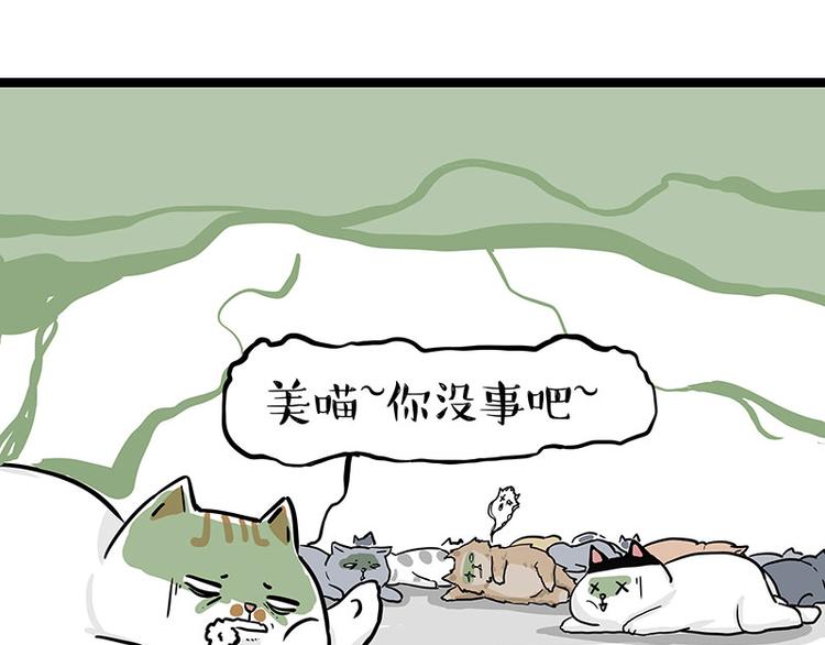【吾皇巴扎黑】漫画-（第284话 美喵竟是我自己）章节漫画下拉式图片-61.jpg