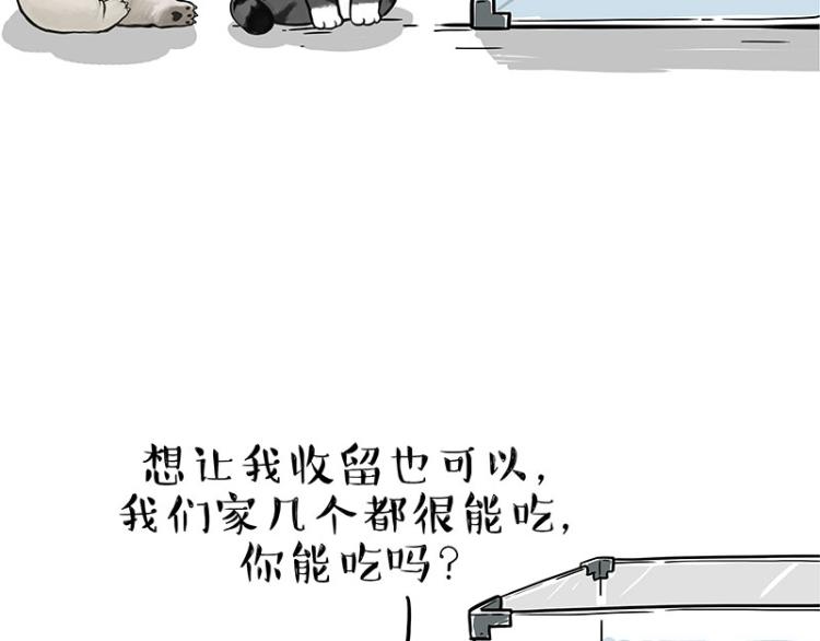 《吾皇巴扎黑》漫画最新章节第286话 动物世界免费下拉式在线观看章节第【31】张图片