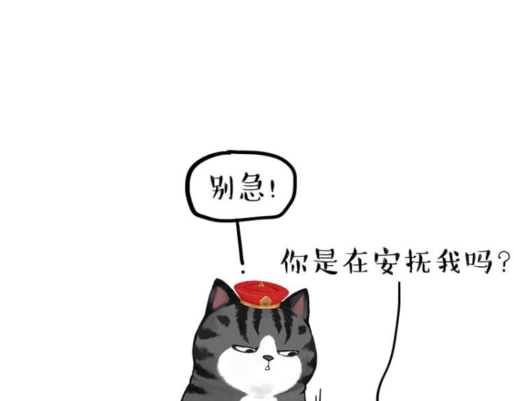 《吾皇巴扎黑》漫画最新章节第286话 动物世界免费下拉式在线观看章节第【43】张图片