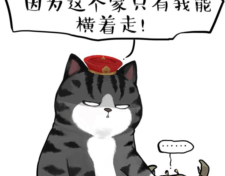 《吾皇巴扎黑》漫画最新章节第286话 动物世界免费下拉式在线观看章节第【46】张图片