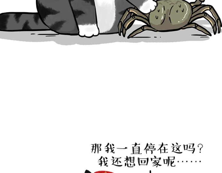 《吾皇巴扎黑》漫画最新章节第286话 动物世界免费下拉式在线观看章节第【47】张图片