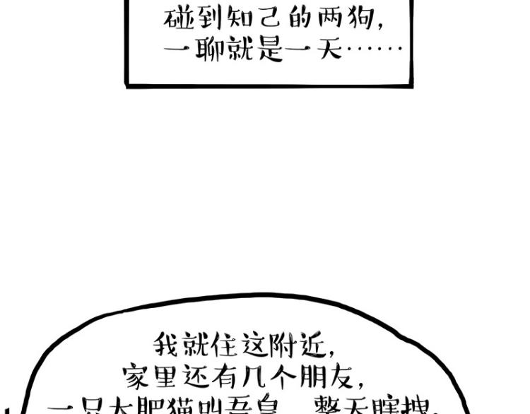 《吾皇巴扎黑》漫画最新章节第287话 真假牛能？！免费下拉式在线观看章节第【23】张图片