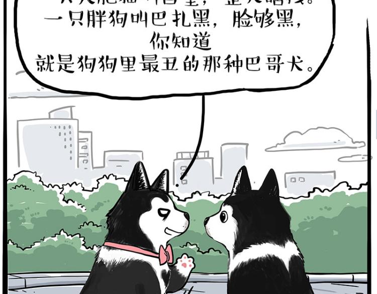 《吾皇巴扎黑》漫画最新章节第287话 真假牛能？！免费下拉式在线观看章节第【24】张图片