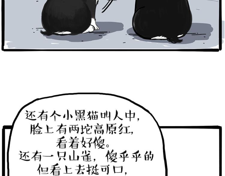 《吾皇巴扎黑》漫画最新章节第287话 真假牛能？！免费下拉式在线观看章节第【25】张图片