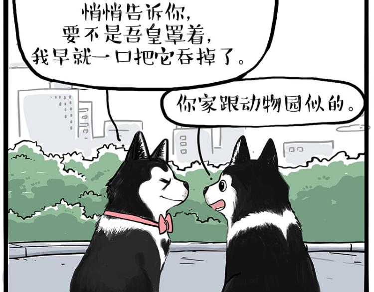 《吾皇巴扎黑》漫画最新章节第287话 真假牛能？！免费下拉式在线观看章节第【26】张图片