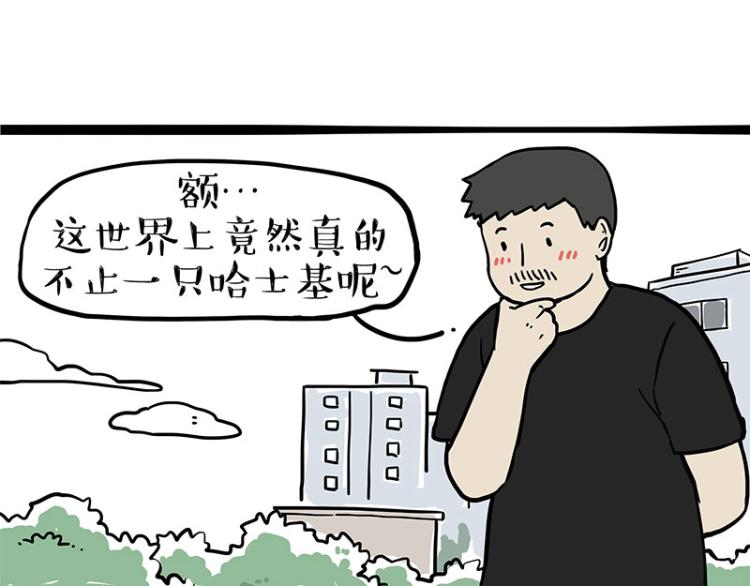 《吾皇巴扎黑》漫画最新章节第287话 真假牛能？！免费下拉式在线观看章节第【49】张图片