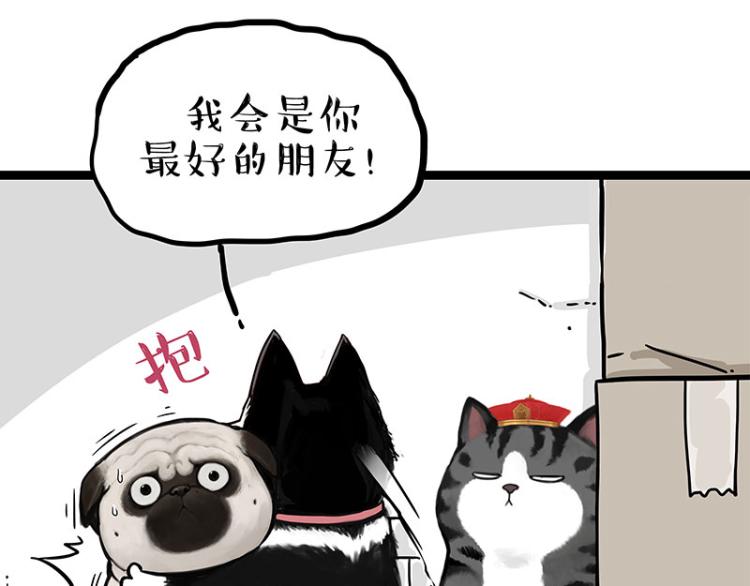 《吾皇巴扎黑》漫画最新章节第288话 冒牌货，拿来吧你！免费下拉式在线观看章节第【13】张图片