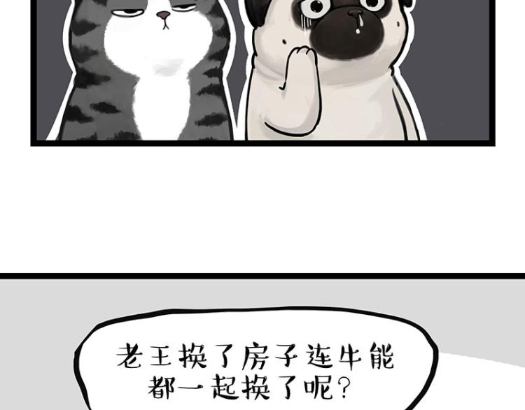 《吾皇巴扎黑》漫画最新章节第288话 冒牌货，拿来吧你！免费下拉式在线观看章节第【18】张图片