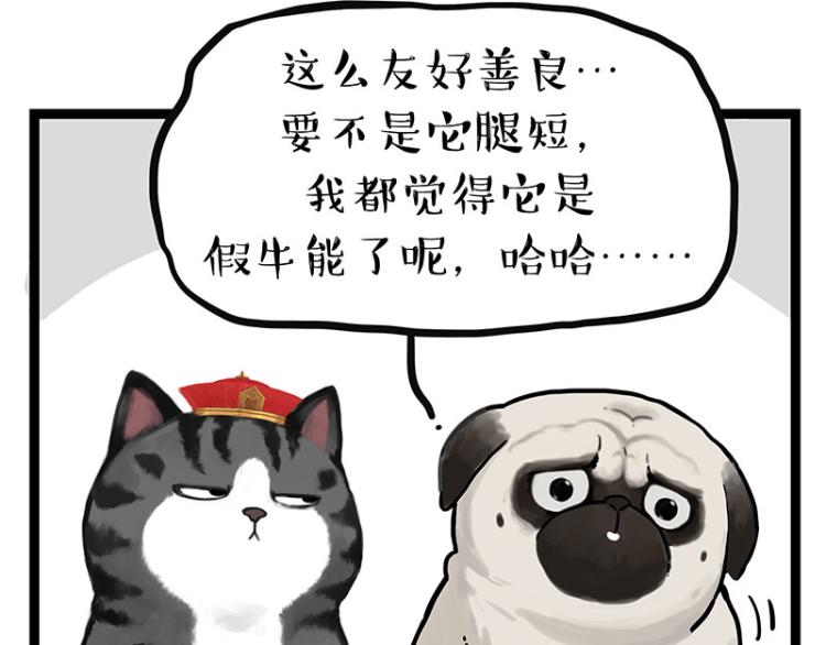 《吾皇巴扎黑》漫画最新章节第288话 冒牌货，拿来吧你！免费下拉式在线观看章节第【20】张图片