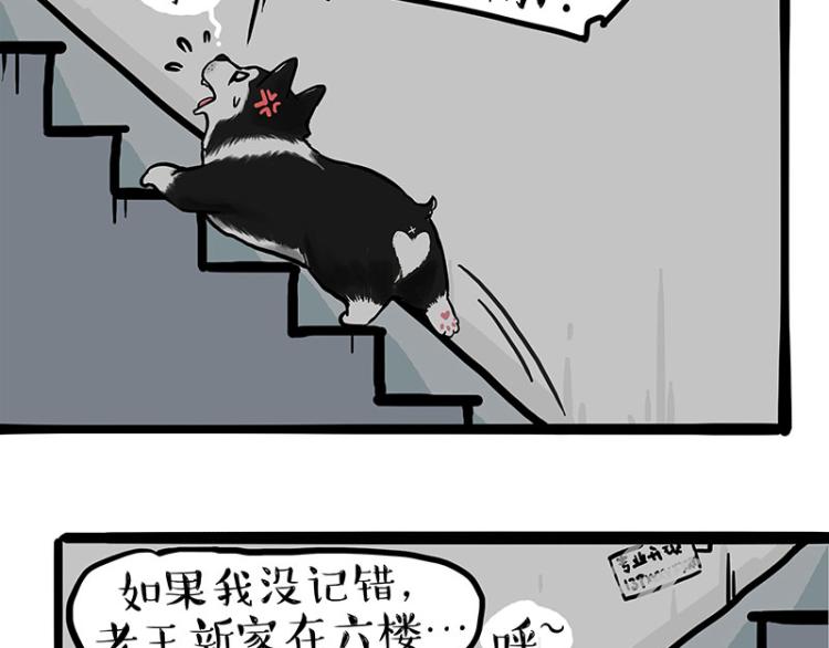 《吾皇巴扎黑》漫画最新章节第288话 冒牌货，拿来吧你！免费下拉式在线观看章节第【28】张图片