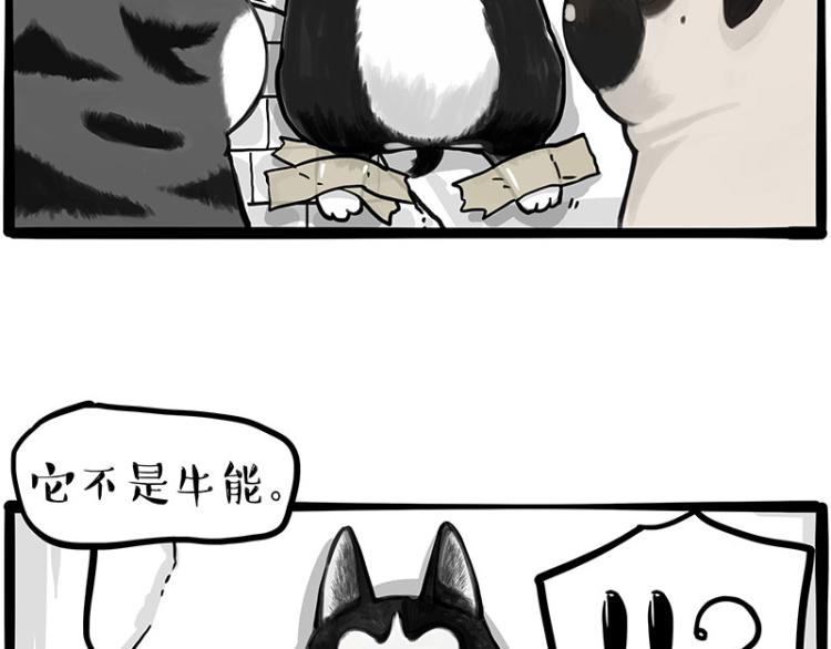 《吾皇巴扎黑》漫画最新章节第288话 冒牌货，拿来吧你！免费下拉式在线观看章节第【39】张图片