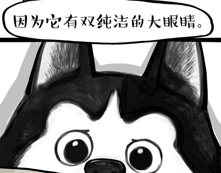 《吾皇巴扎黑》漫画最新章节第288话 冒牌货，拿来吧你！免费下拉式在线观看章节第【43】张图片