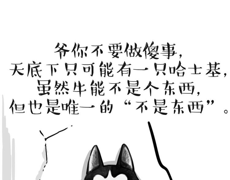 《吾皇巴扎黑》漫画最新章节第288话 冒牌货，拿来吧你！免费下拉式在线观看章节第【45】张图片