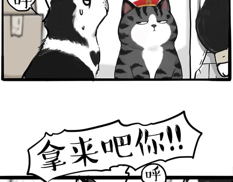 《吾皇巴扎黑》漫画最新章节第288话 冒牌货，拿来吧你！免费下拉式在线观看章节第【60】张图片