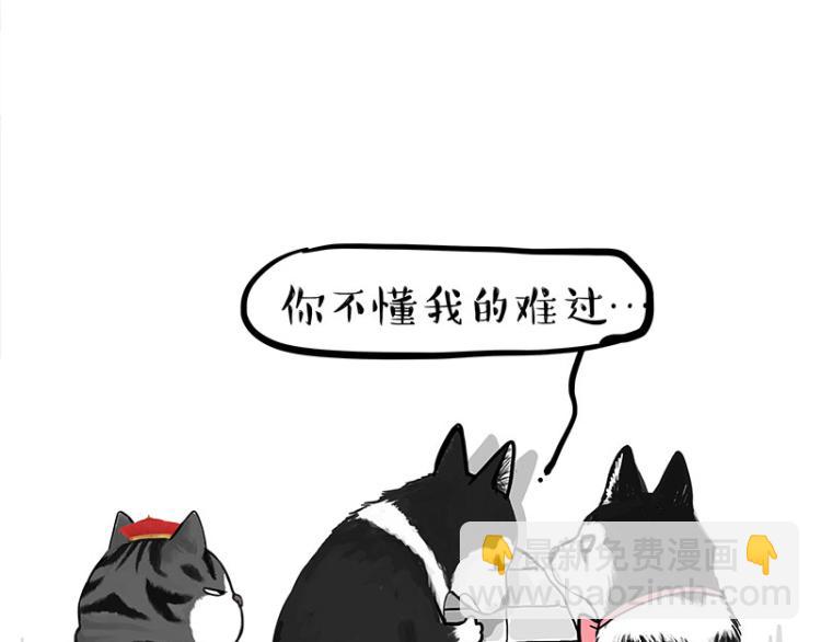 《吾皇巴扎黑》漫画最新章节第289话 吹牛狗真牛免费下拉式在线观看章节第【11】张图片