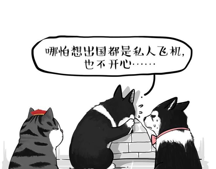 《吾皇巴扎黑》漫画最新章节第289话 吹牛狗真牛免费下拉式在线观看章节第【19】张图片