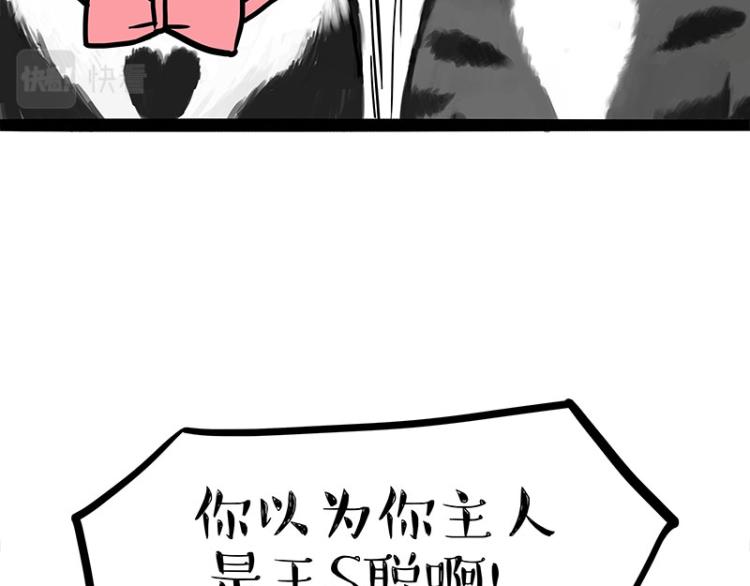 《吾皇巴扎黑》漫画最新章节第289话 吹牛狗真牛免费下拉式在线观看章节第【22】张图片