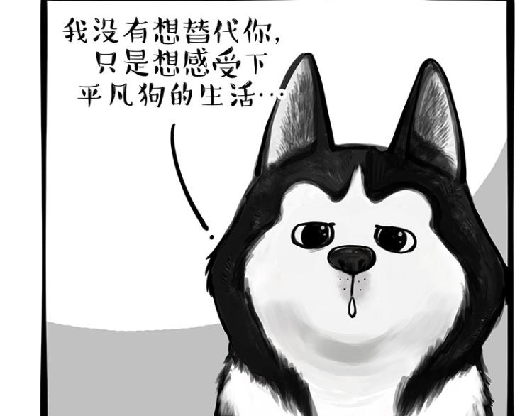 《吾皇巴扎黑》漫画最新章节第289话 吹牛狗真牛免费下拉式在线观看章节第【3】张图片