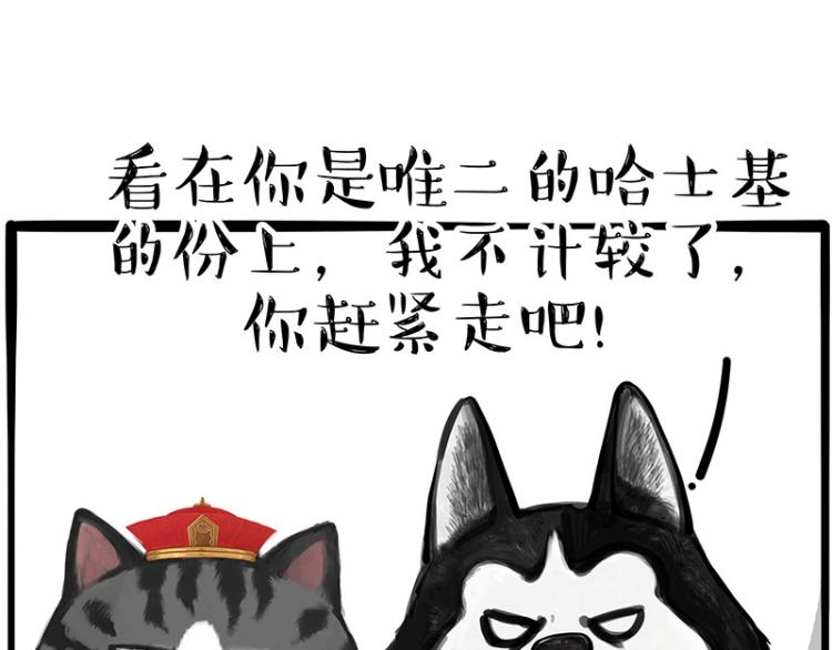 《吾皇巴扎黑》漫画最新章节第289话 吹牛狗真牛免费下拉式在线观看章节第【34】张图片