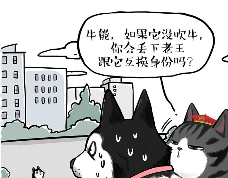 《吾皇巴扎黑》漫画最新章节第289话 吹牛狗真牛免费下拉式在线观看章节第【39】张图片