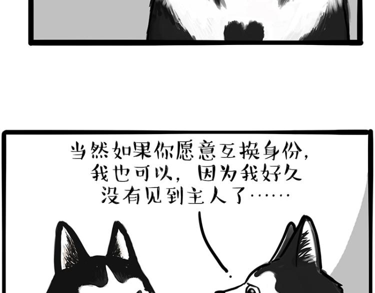 《吾皇巴扎黑》漫画最新章节第289话 吹牛狗真牛免费下拉式在线观看章节第【4】张图片