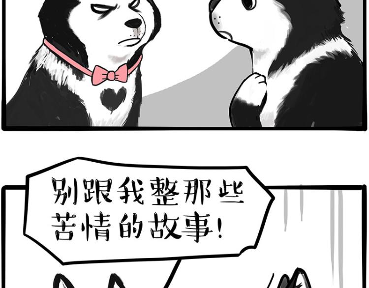 《吾皇巴扎黑》漫画最新章节第289话 吹牛狗真牛免费下拉式在线观看章节第【5】张图片