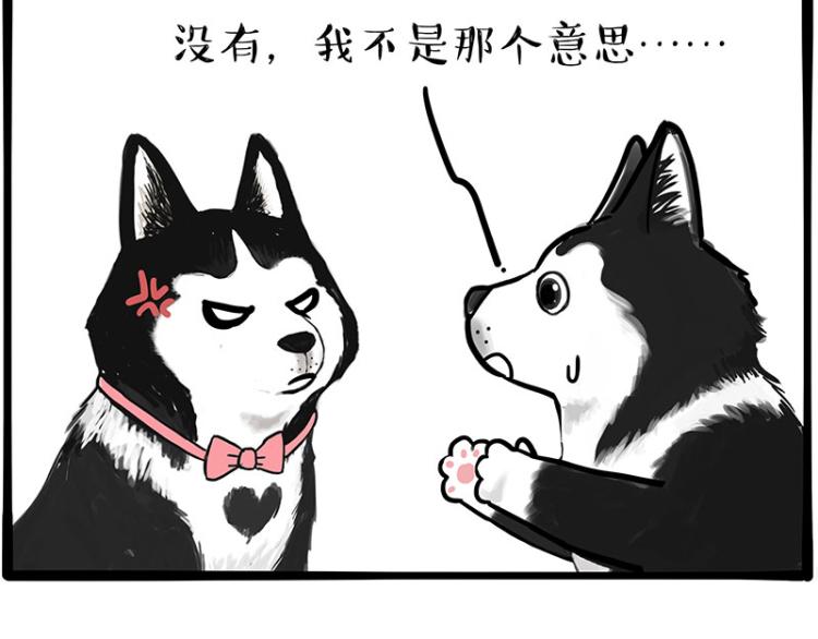 《吾皇巴扎黑》漫画最新章节第289话 吹牛狗真牛免费下拉式在线观看章节第【7】张图片