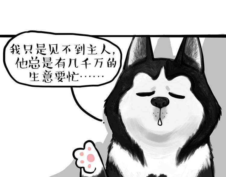 《吾皇巴扎黑》漫画最新章节第289话 吹牛狗真牛免费下拉式在线观看章节第【8】张图片