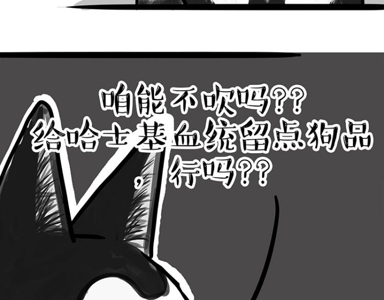 《吾皇巴扎黑》漫画最新章节第289话 吹牛狗真牛免费下拉式在线观看章节第【9】张图片