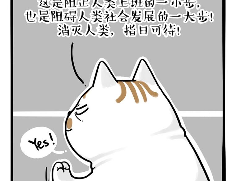 《吾皇巴扎黑》漫画最新章节第290话 凶恶猫猫组织免费下拉式在线观看章节第【10】张图片