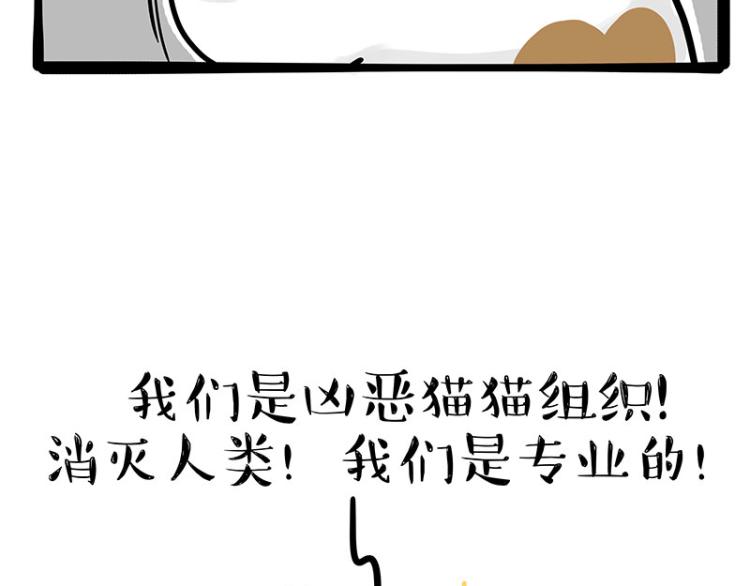 《吾皇巴扎黑》漫画最新章节第290话 凶恶猫猫组织免费下拉式在线观看章节第【11】张图片