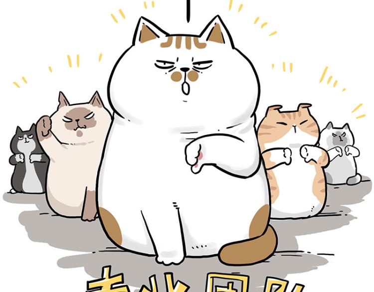 《吾皇巴扎黑》漫画最新章节第290话 凶恶猫猫组织免费下拉式在线观看章节第【12】张图片