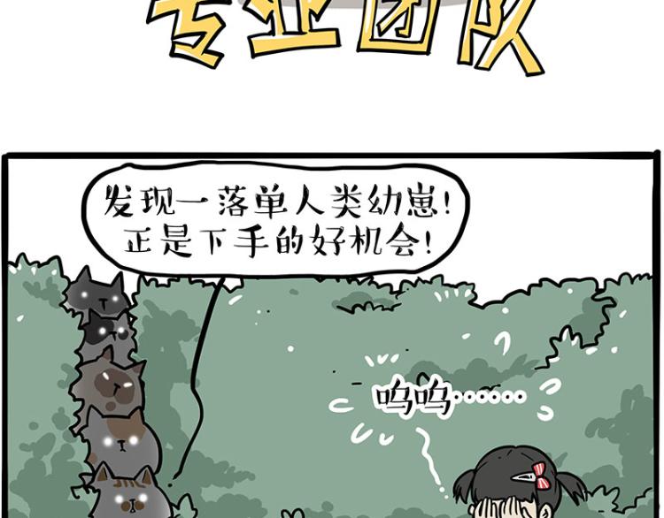 《吾皇巴扎黑》漫画最新章节第290话 凶恶猫猫组织免费下拉式在线观看章节第【13】张图片