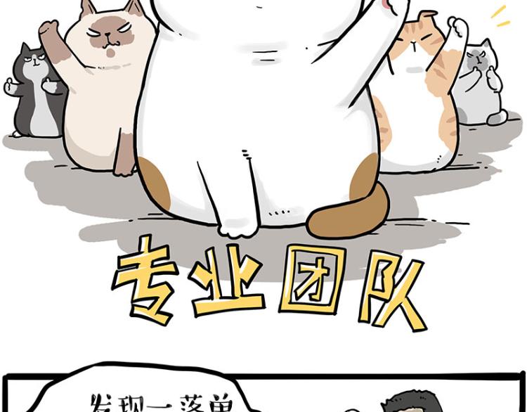 吾皇巴扎黑-第290话 凶恶猫猫组织全彩韩漫标签