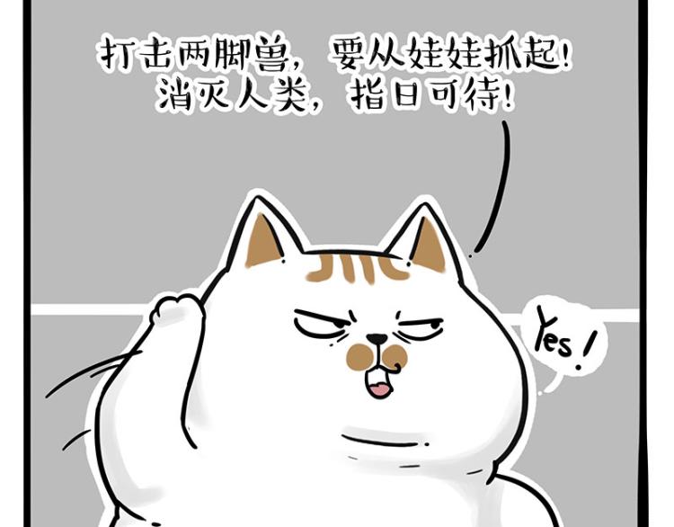 《吾皇巴扎黑》漫画最新章节第290话 凶恶猫猫组织免费下拉式在线观看章节第【22】张图片