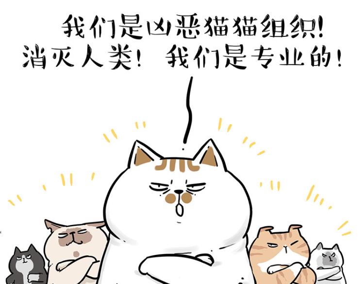 《吾皇巴扎黑》漫画最新章节第290话 凶恶猫猫组织免费下拉式在线观看章节第【24】张图片